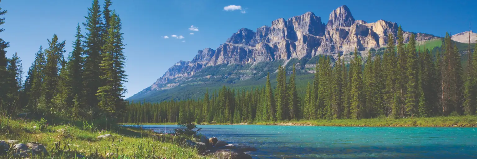 How Do We Go Above and Beyond With ACANA Pet Food? ACANA